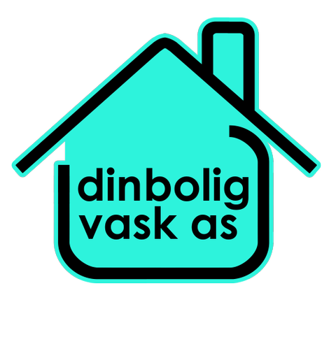 Din Boligvask as logo