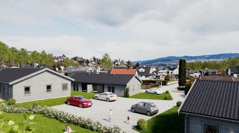 Bilde 1 av annonsen
