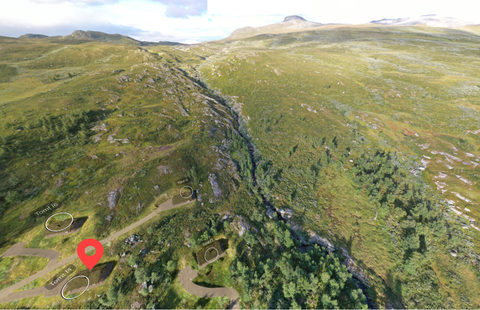 Bilde 2 av annonsen