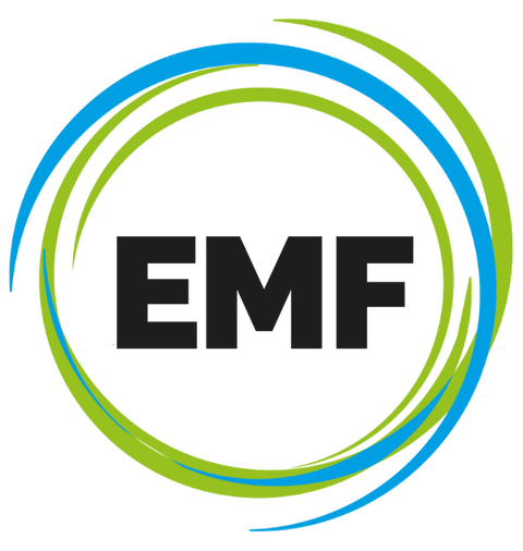 European Maritime Finance A/S logo