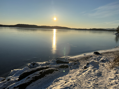 Bilde 2 av annonsen