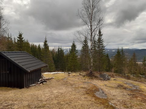 Bilde 2 av annonsen