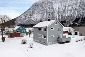 Bilde 1 av annonsen