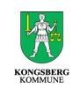 Kongsberg kommune Helse og omsorg - Tjeneste- og utviklingsavdelingen logo