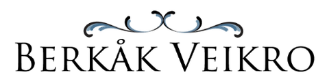 Berkåk Veikro AS logo