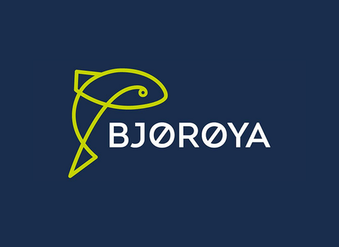 Bjørøya AS logo