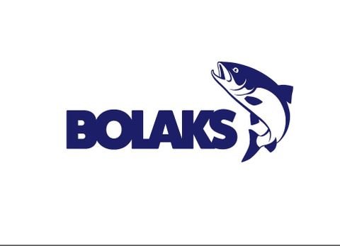 AS Bolaks logo
