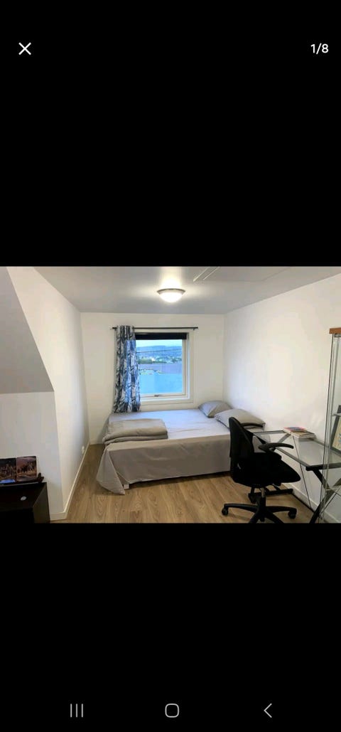 Bilde 1 av annonsen