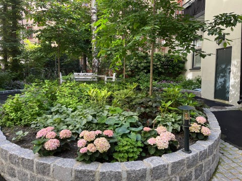 Bilde 2 av annonsen