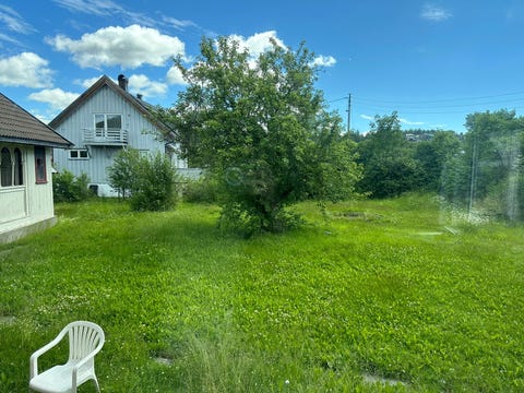 Bilde 1 av annonsen