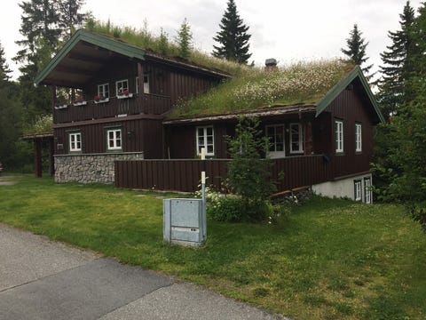 Bilde 2 av annonsen