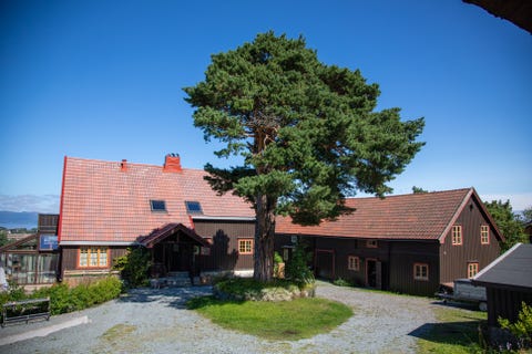Bilde 1 av annonsen