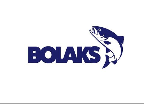 AS BOLAKS logo