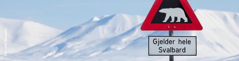 Coop Svalbard SA logo