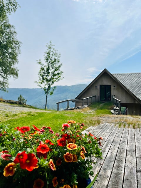 Bilde 2 av annonsen