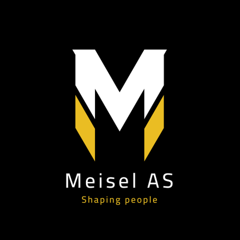 MEISEL AS logo