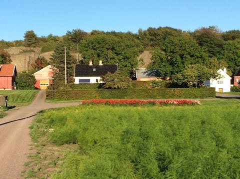 Bilde 2 av annonsen
