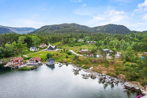 Bilde 1 av annonsen