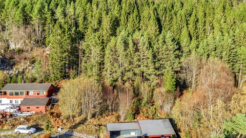 Bilde 2 av annonsen