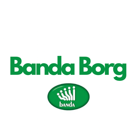 Banda Borg logo