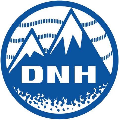 Den Norske Høyttalerfabrikk logo