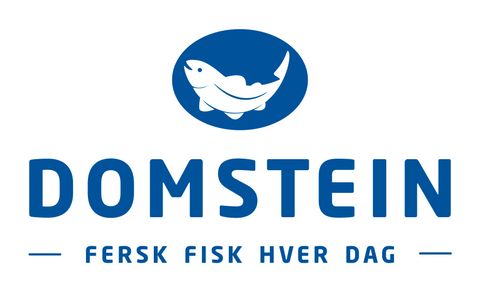 Domstein-logo