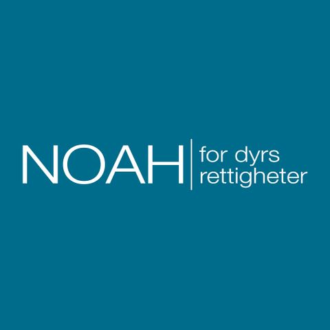 NOAH - for dyrs rettigheter logo