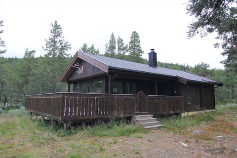 Bilde 1 av annonsen