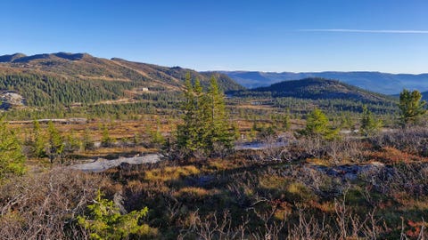 Bilde 2 av annonsen