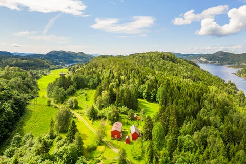 Bilde 2 av annonsen