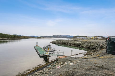 Bilde 2 av annonsen
