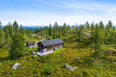 Bilde 1 av annonsen