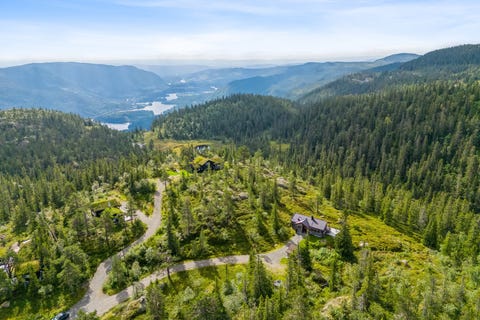 Bilde 2 av annonsen