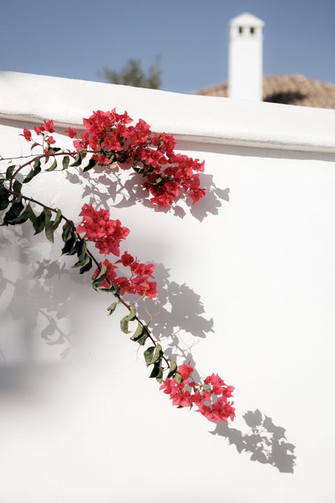 Sjarmerende og totalrenovert rekkehus i El Naranjal, Nueva Andalucía med stor terrasse og jacuzzi – bilde 8