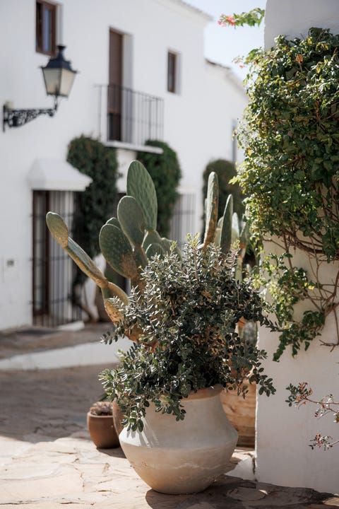Sjarmerende og totalrenovert rekkehus i El Naranjal, Nueva Andalucía med stor terrasse og jacuzzi – bilde 10