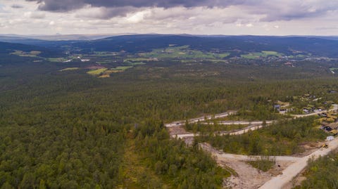 Bilde 1 av annonsen