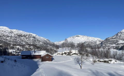 Bilde 1 av annonsen