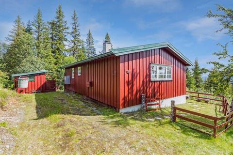 Bilde 1 av annonsen