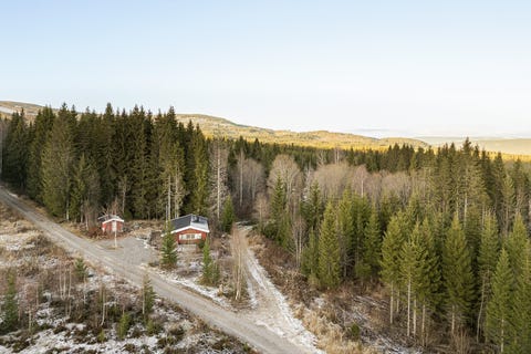 Bilde 1 av annonsen