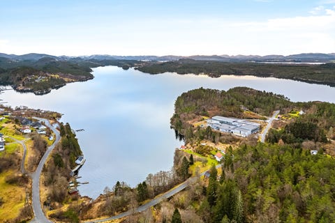 Bilde 2 av annonsen
