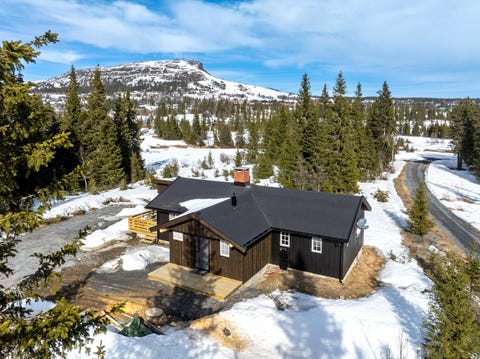 Bilde 1 av annonsen