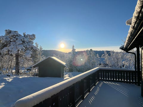 Bilde 1 av annonsen