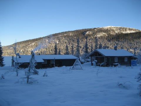 Bilde 2 av annonsen