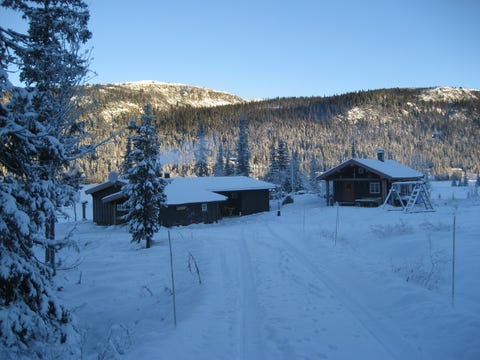 Bilde 1 av annonsen