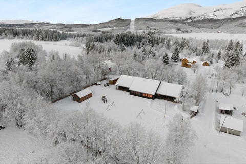 Bilde 1 av annonsen
