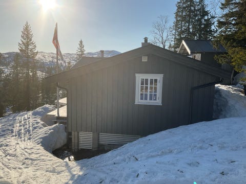 Bilde 1 av annonsen