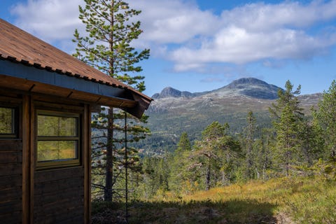 Bilde 2 av annonsen