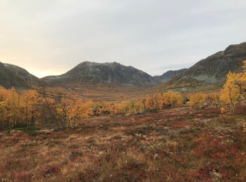 Bilde 2 av annonsen
