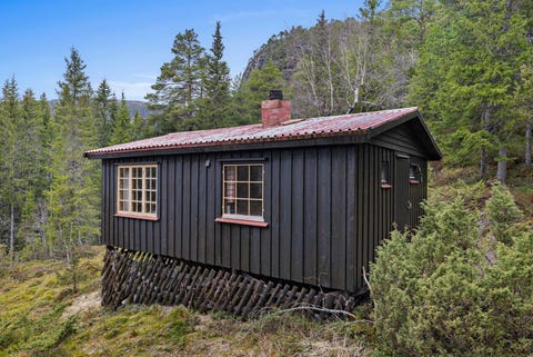 Bilde 1 av annonsen