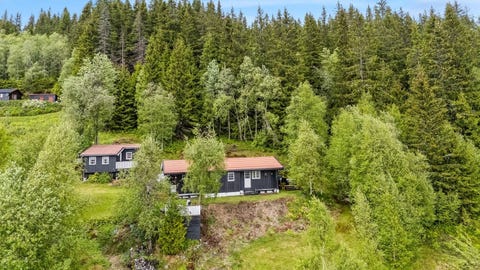 Bilde 1 av annonsen